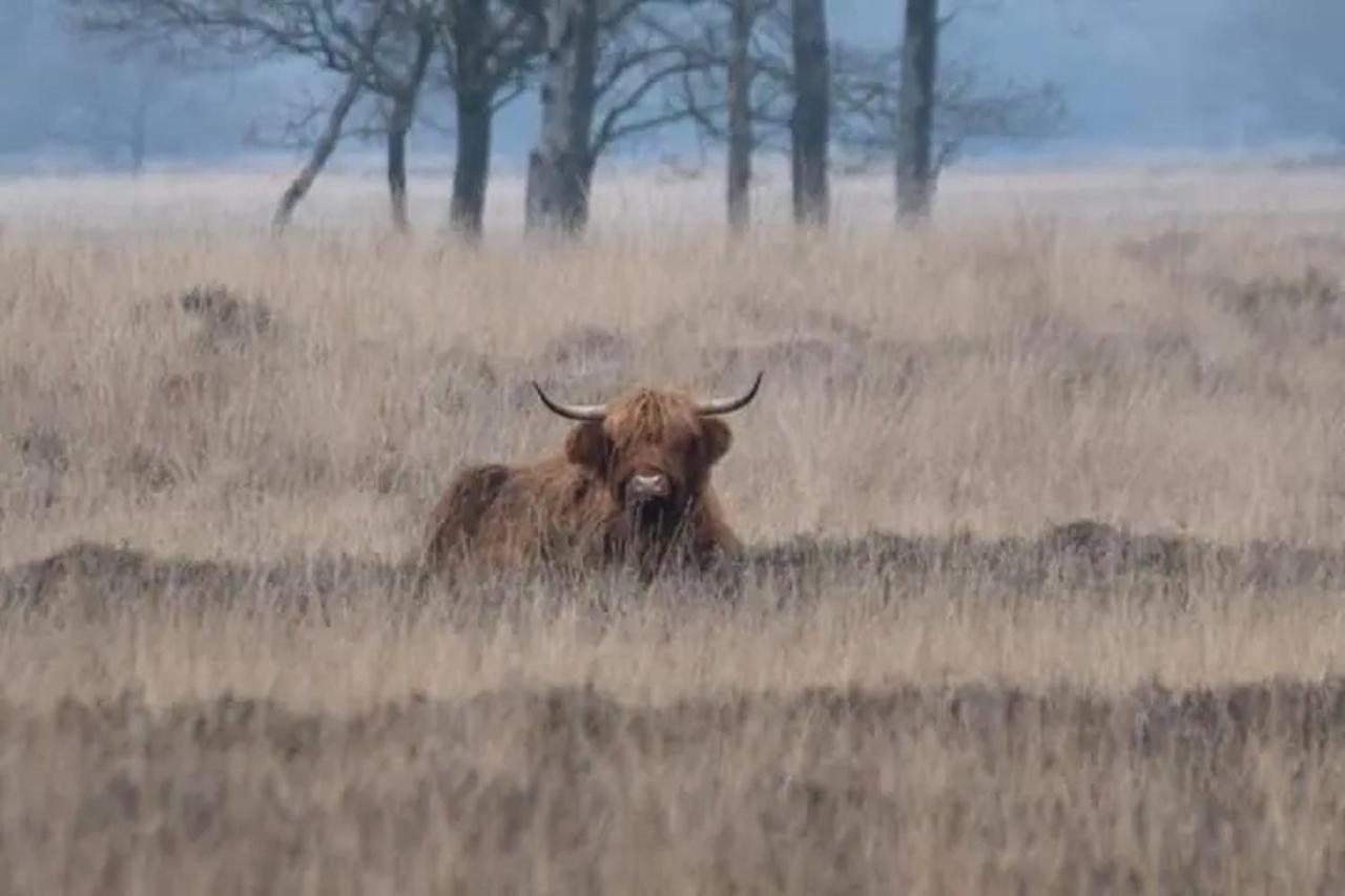 Vakantieverhuur Bienvenue Bojil Zewnętrze zdjęcie